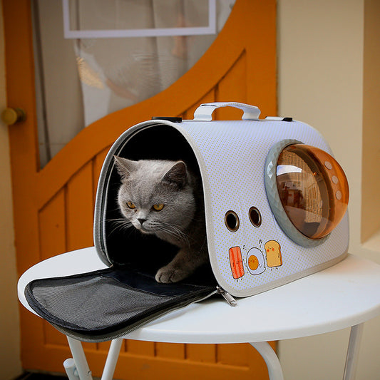 Transparent Cat Cage