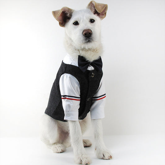 Pet wedding suit