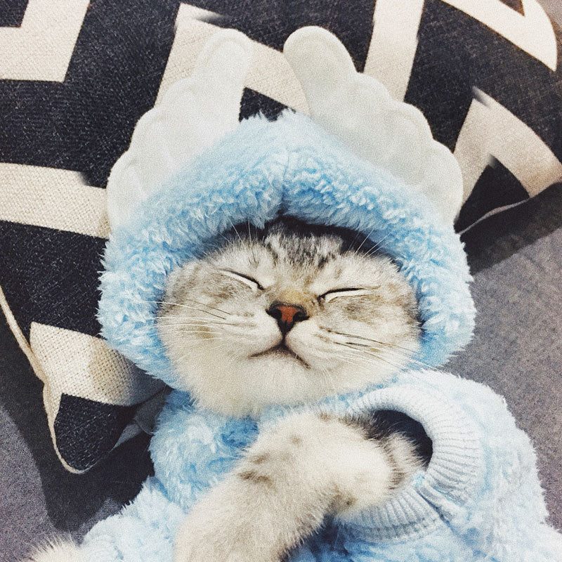 Cat clothes