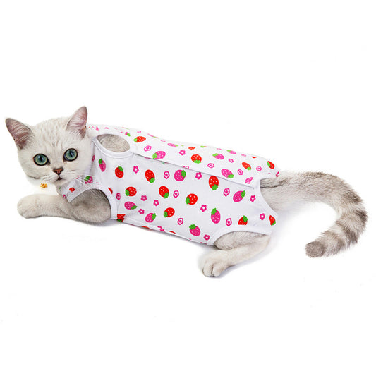 Cat  Spring And Summer Clothes