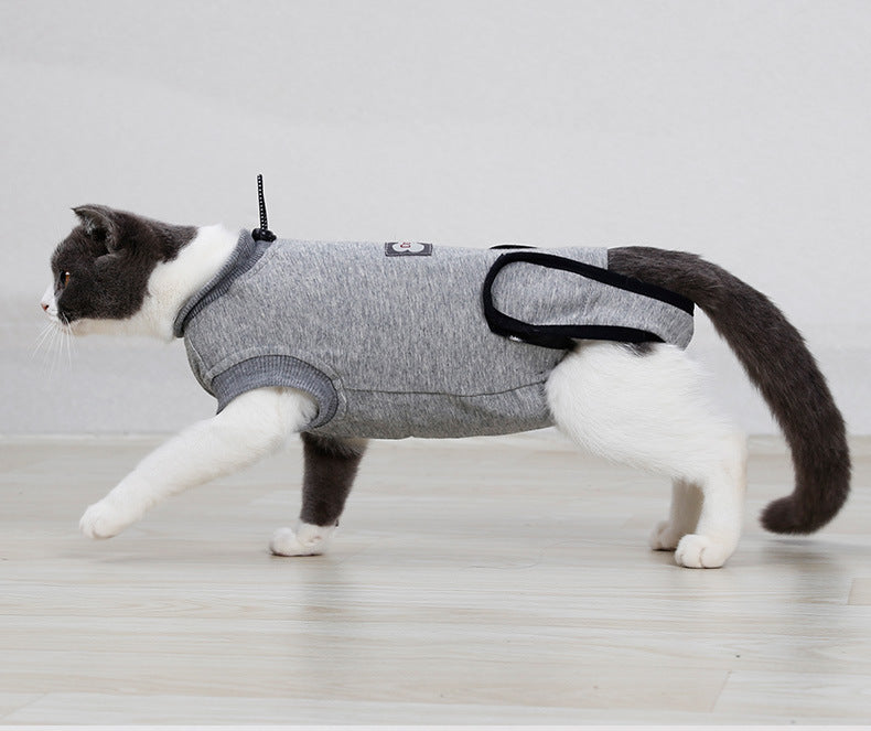 Cat Recovery Clothing