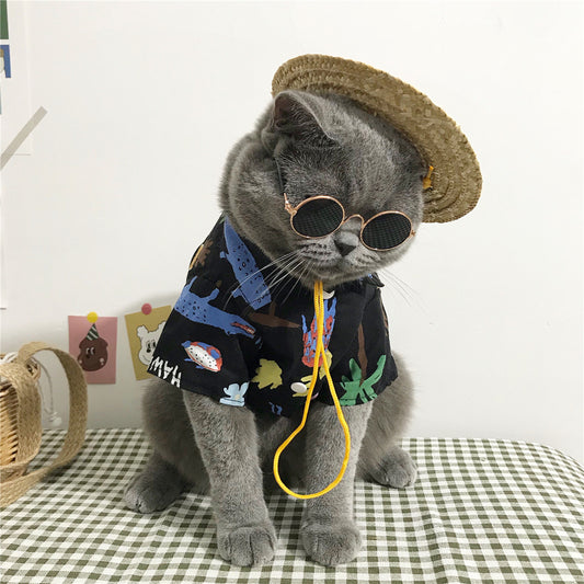 Outdoor Cat Outfit