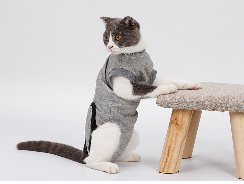 Cat Recovery Clothing