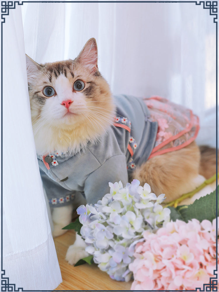 Asian cat clothes