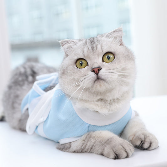 Pet Care Suit