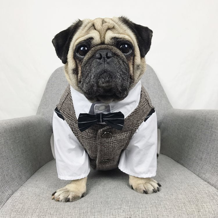 Pet wedding suit