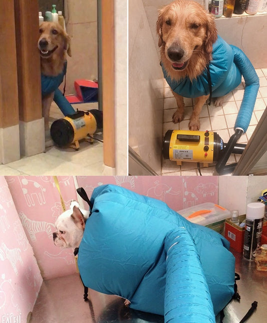 Dog Dryer