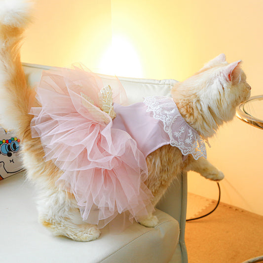 Lace Cat Clothes