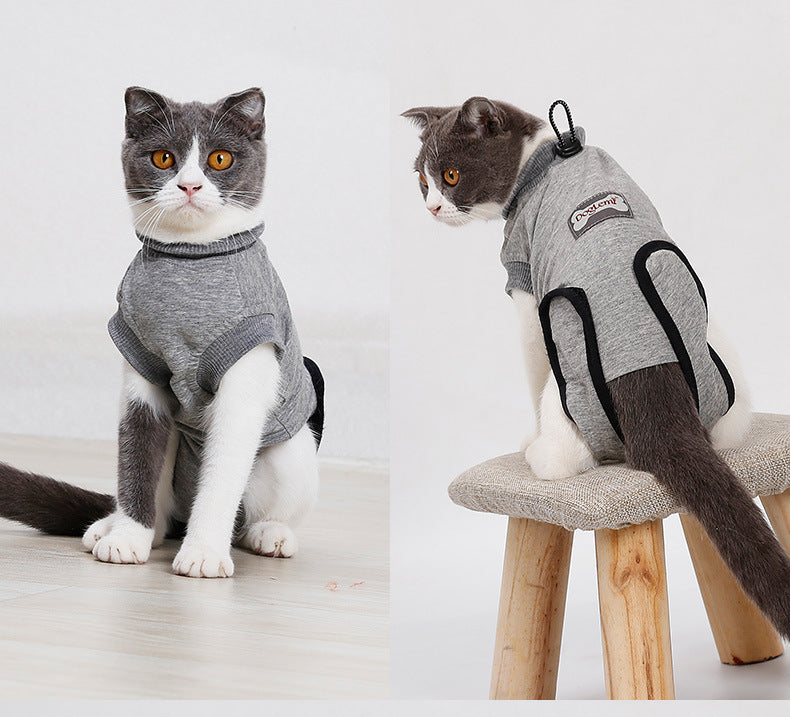 Cat Recovery Clothing