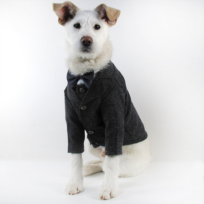 Pet wedding suit