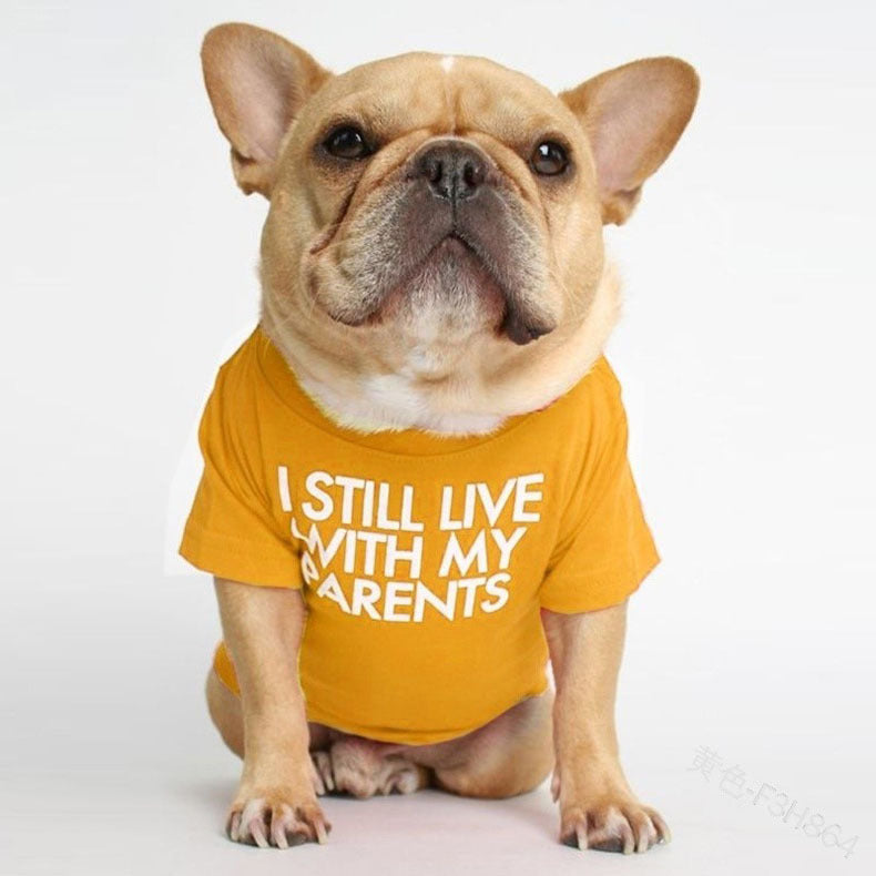 Pet T-shirt