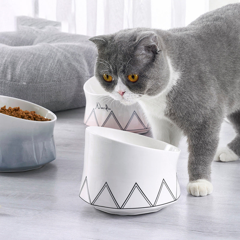 Ceramic pet cat bowl