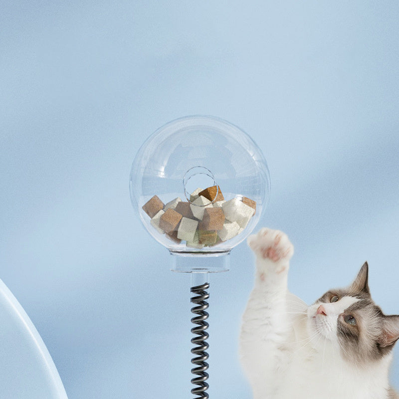 Cat Turntable Ball