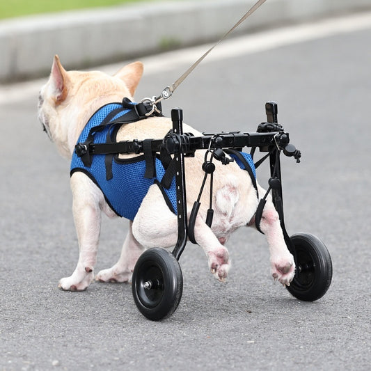 Pet Wheelchair