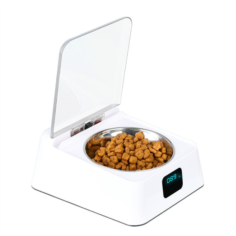 Automatic Pet Feeder