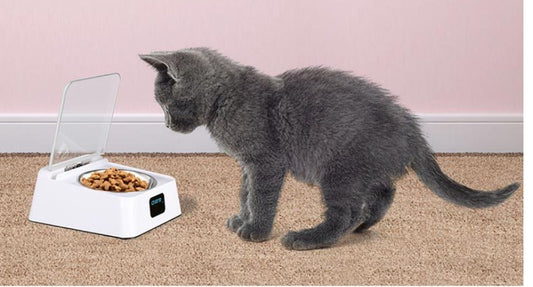 Automatic Pet Feeder