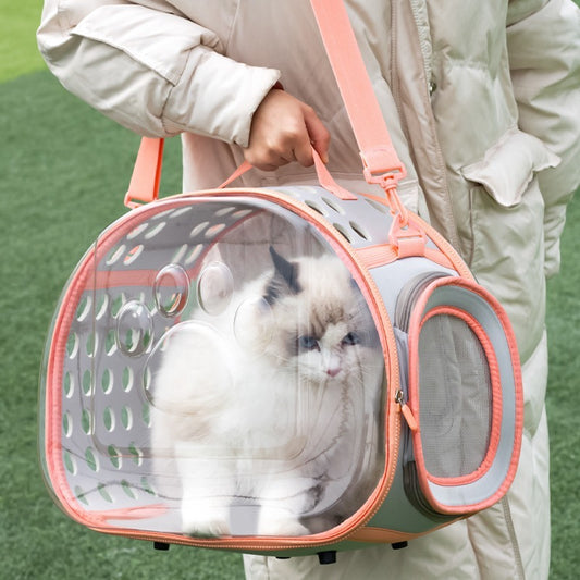 Pet Transparent Bag