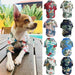 Dog Spring And Summer Corgi Clothes