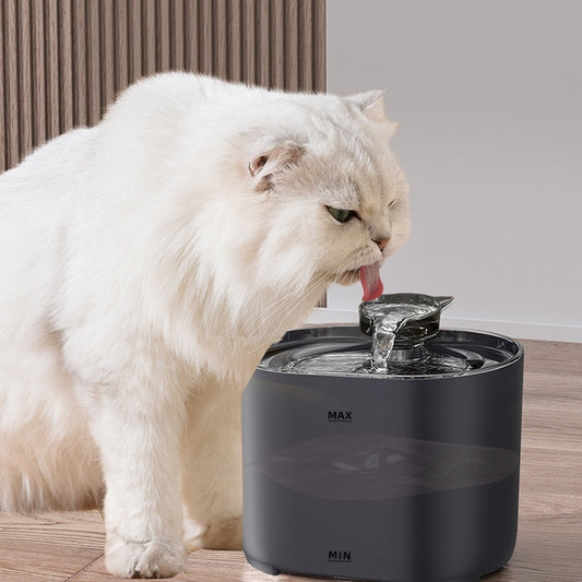 Cat Automatic Water Dispenser