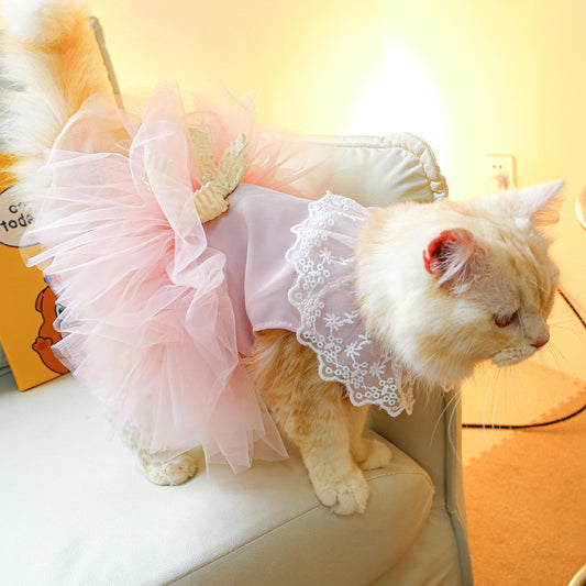 Lace Cat Clothes