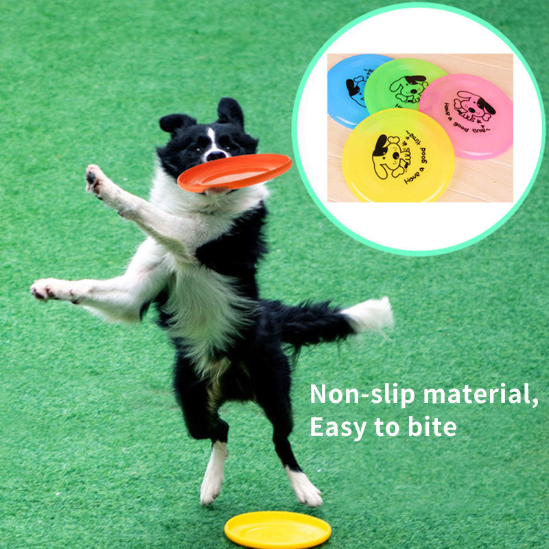 Dog  Outdoor Toy