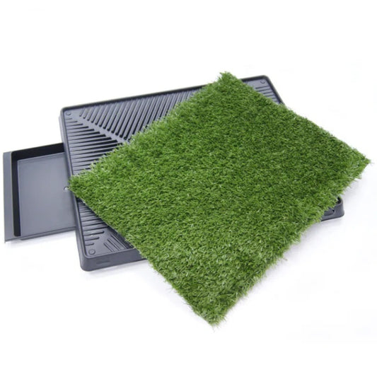 Flushing Pet Lawn Toilet