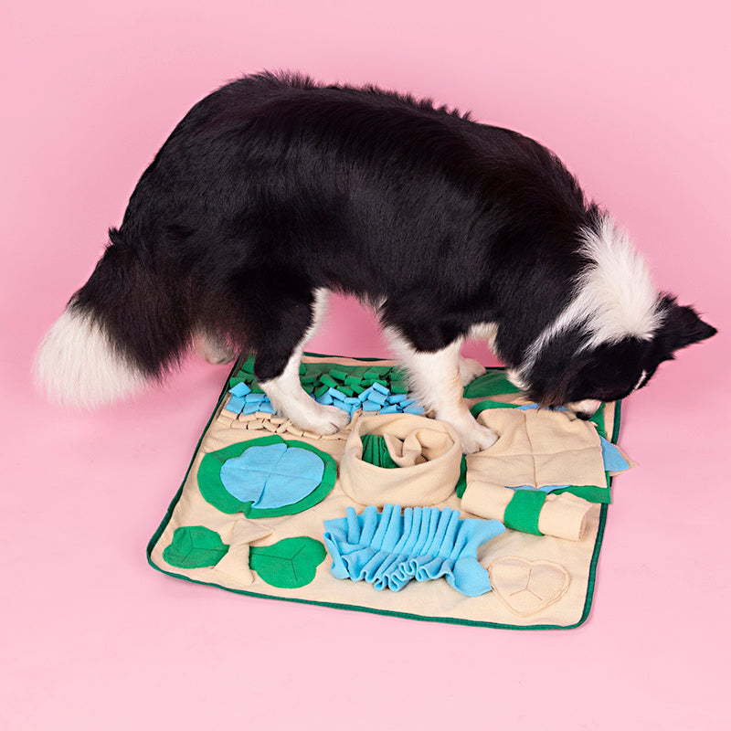 Snuffle Mat