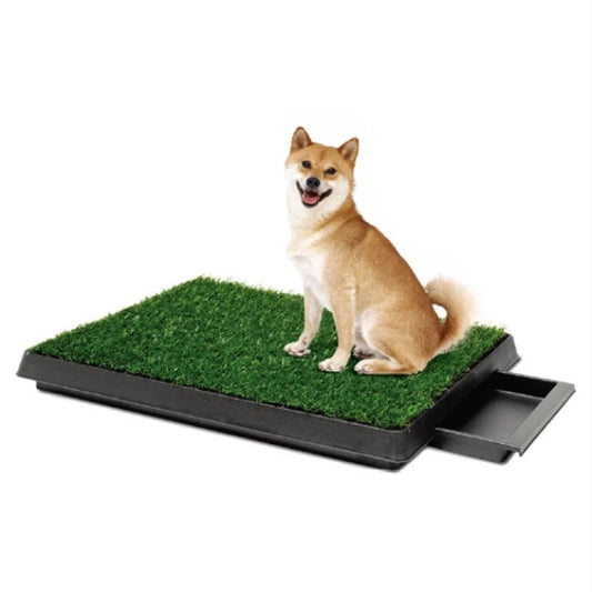 Flushing Pet Lawn Toilet