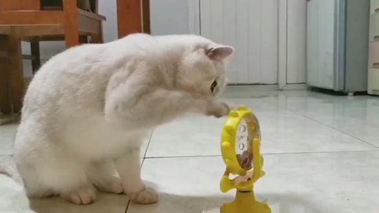 Cat Self-Healing Toy Leaks Food Spinning Windmill